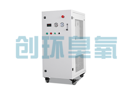 西青石斑鱼养殖水质调控完整指南:臭氧发生器配置与操作步骤